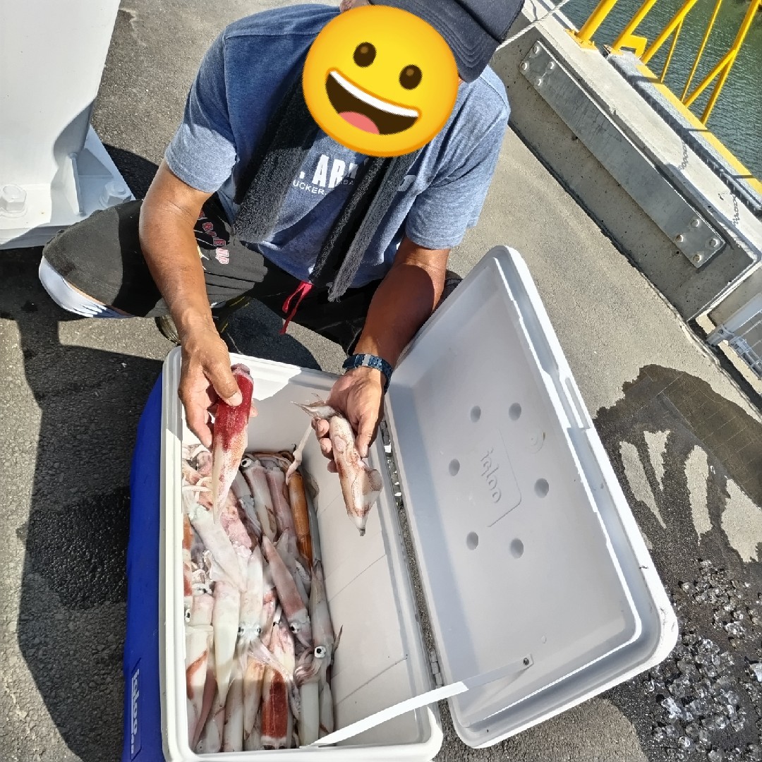 イカがいっぱい♪の画像