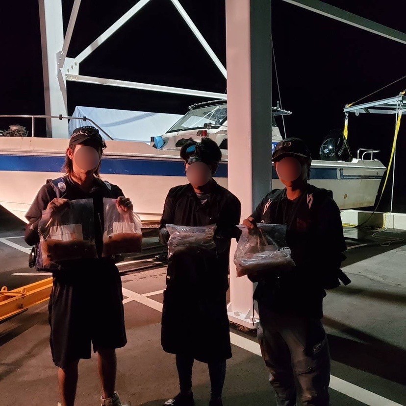 昨夜はイカ釣り！！の画像