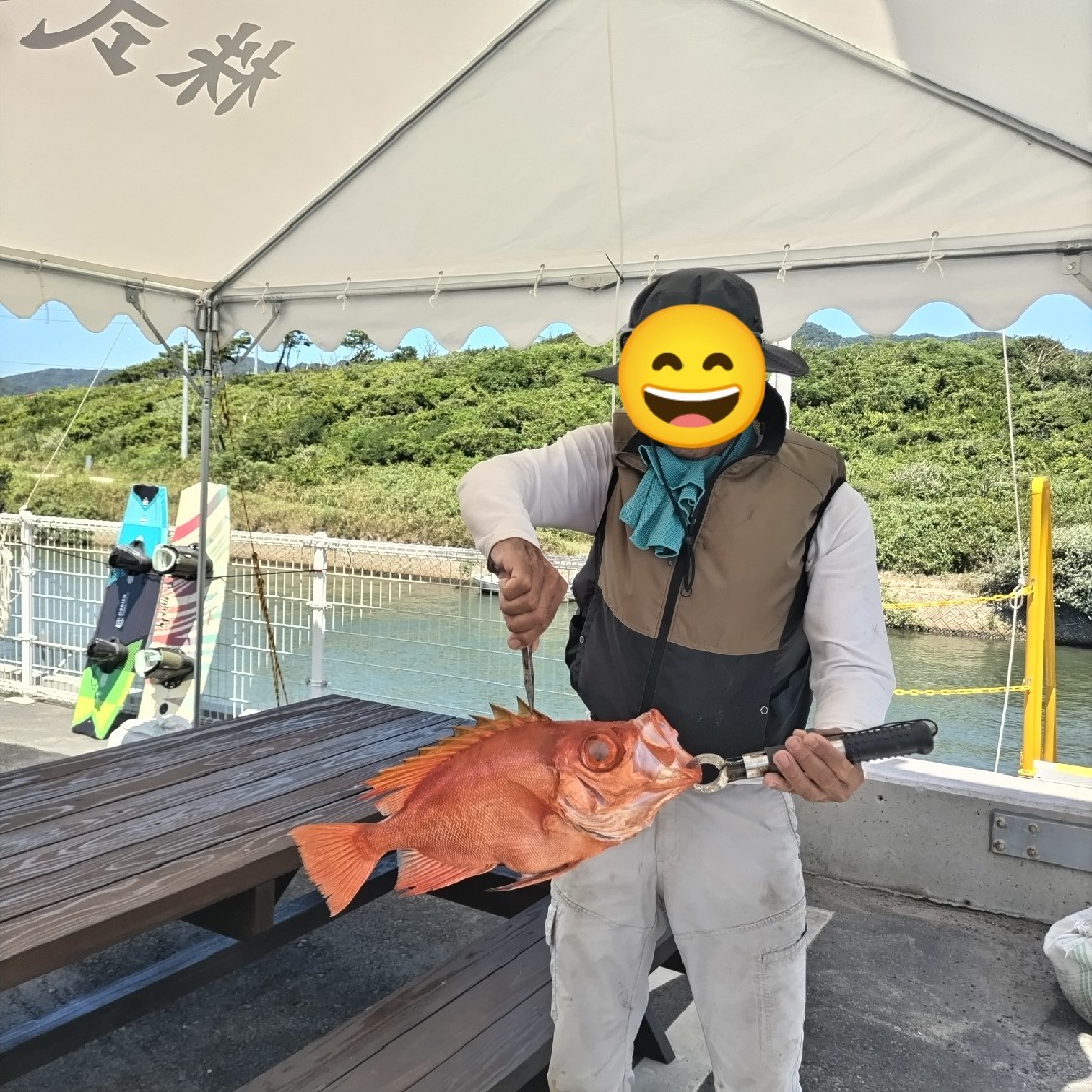チカメキントキ♪の画像