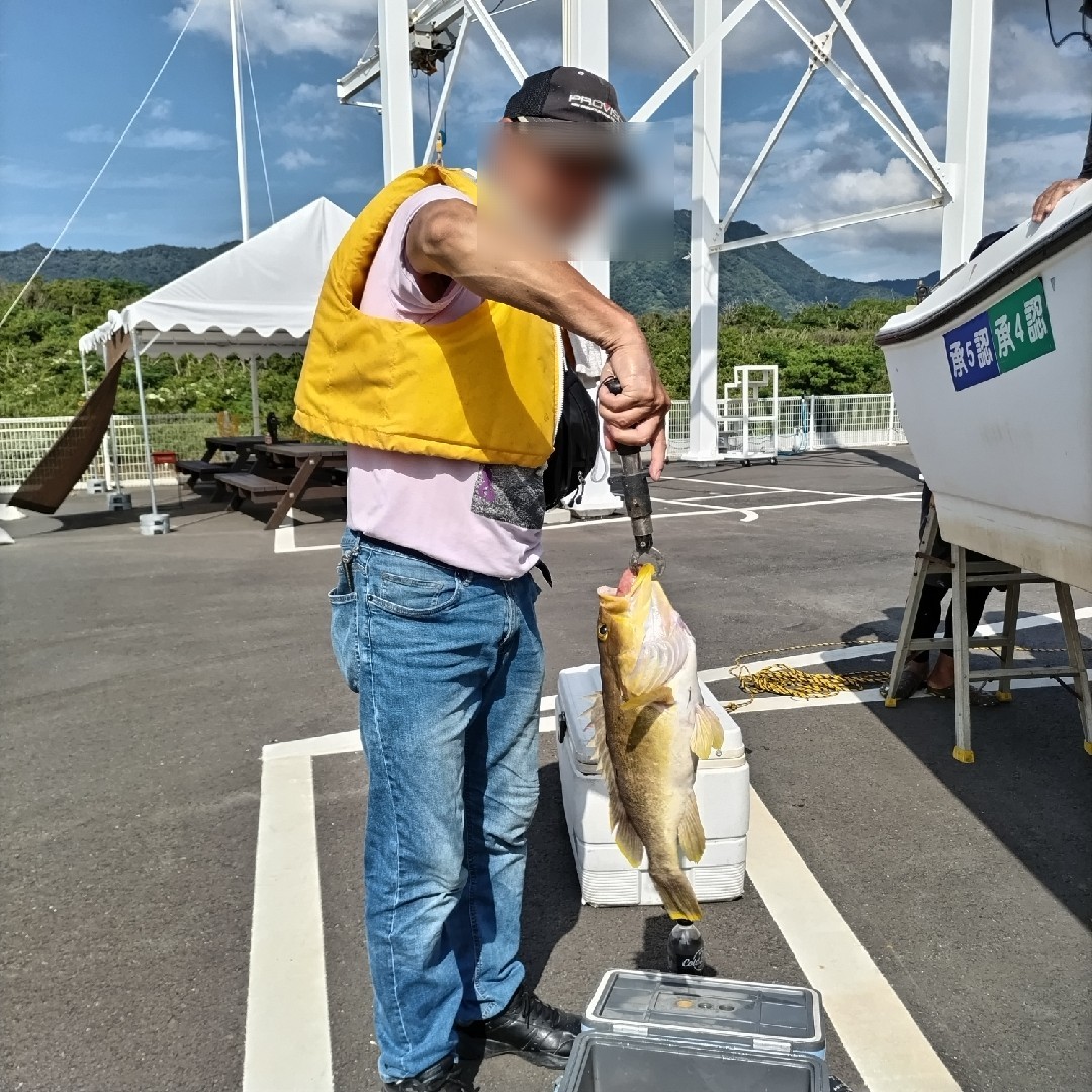 アオハタとタイです！の画像