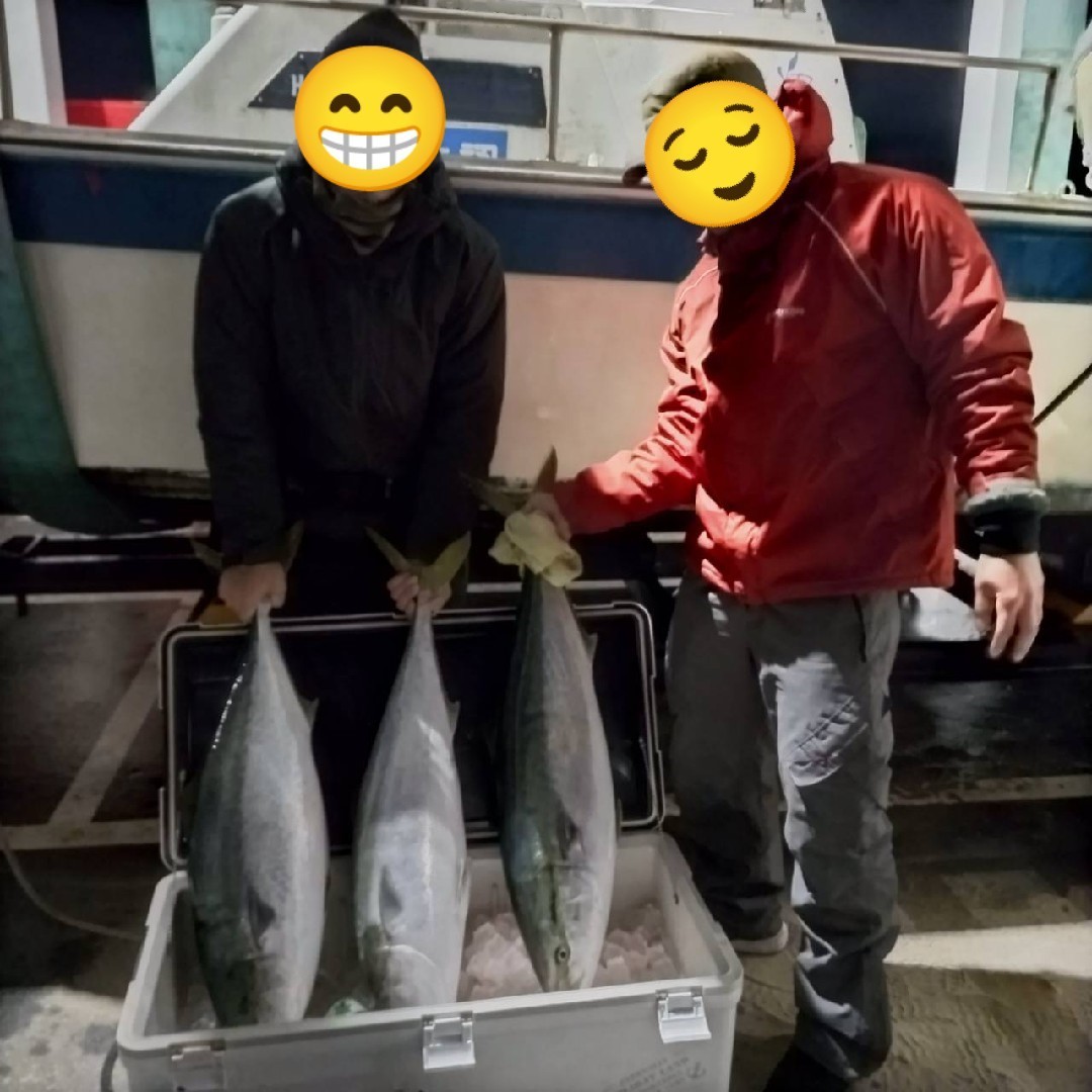 本日の釣果の画像