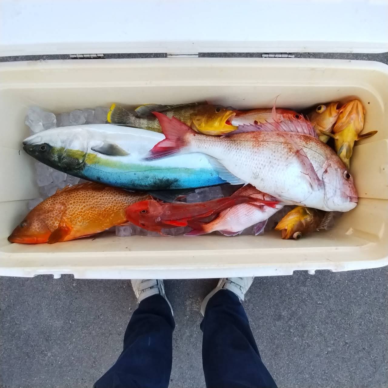 １月２４日の釣果の画像