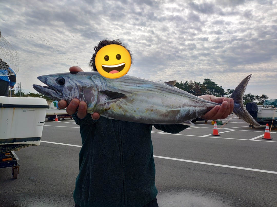 １１月８日の釣果の画像