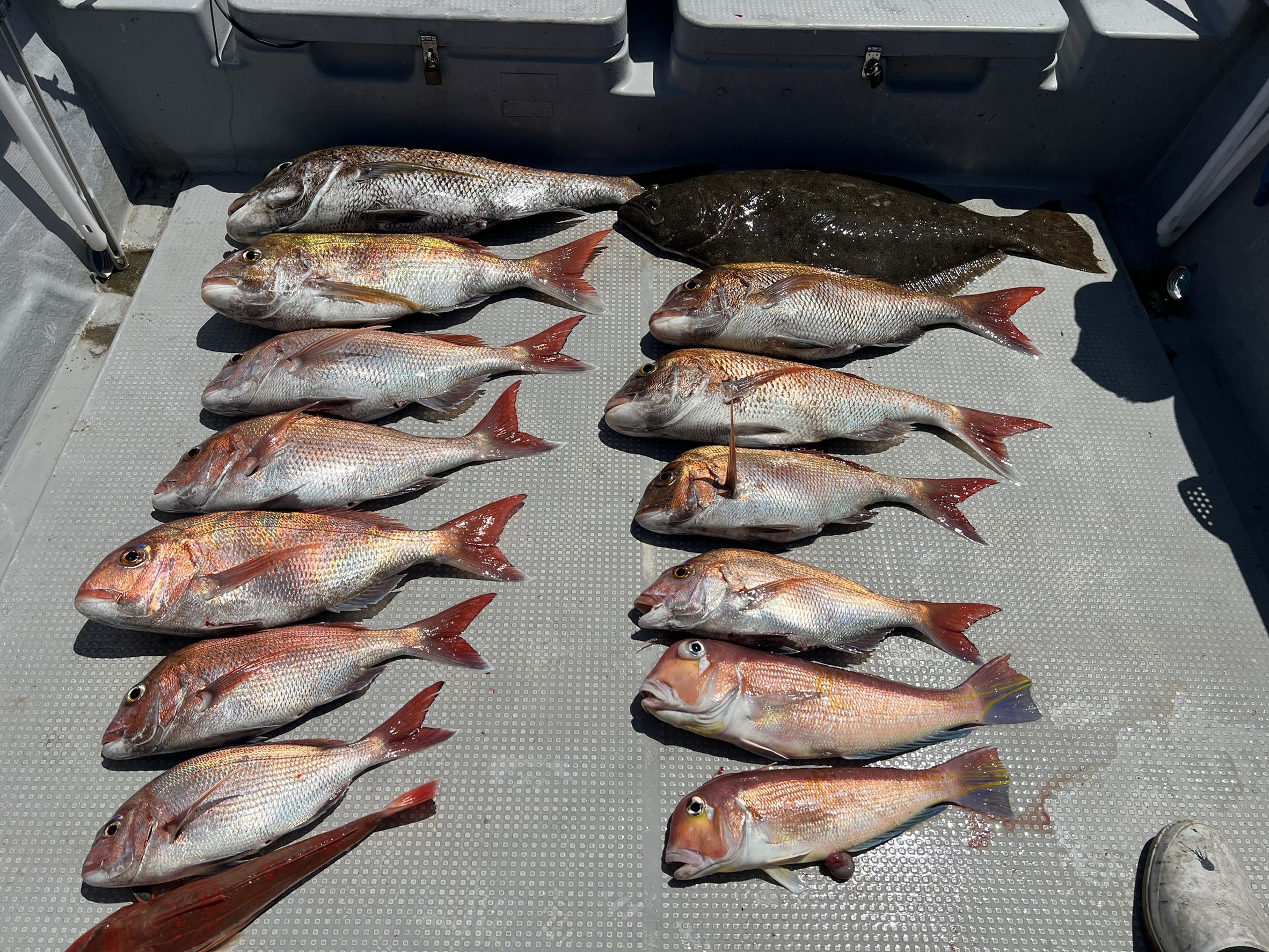 ４月１８日の釣果🎣の画像